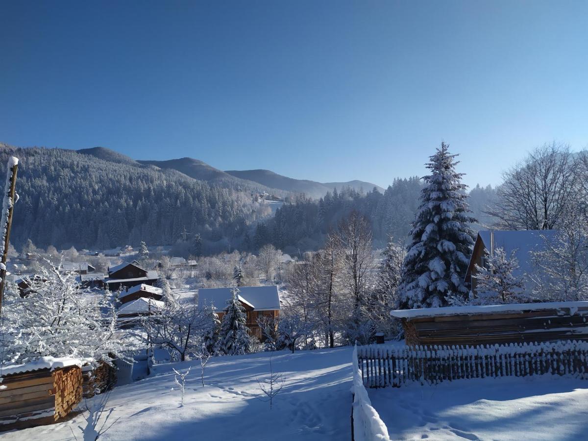 Villa Бриндуш Tatariw Exterior foto