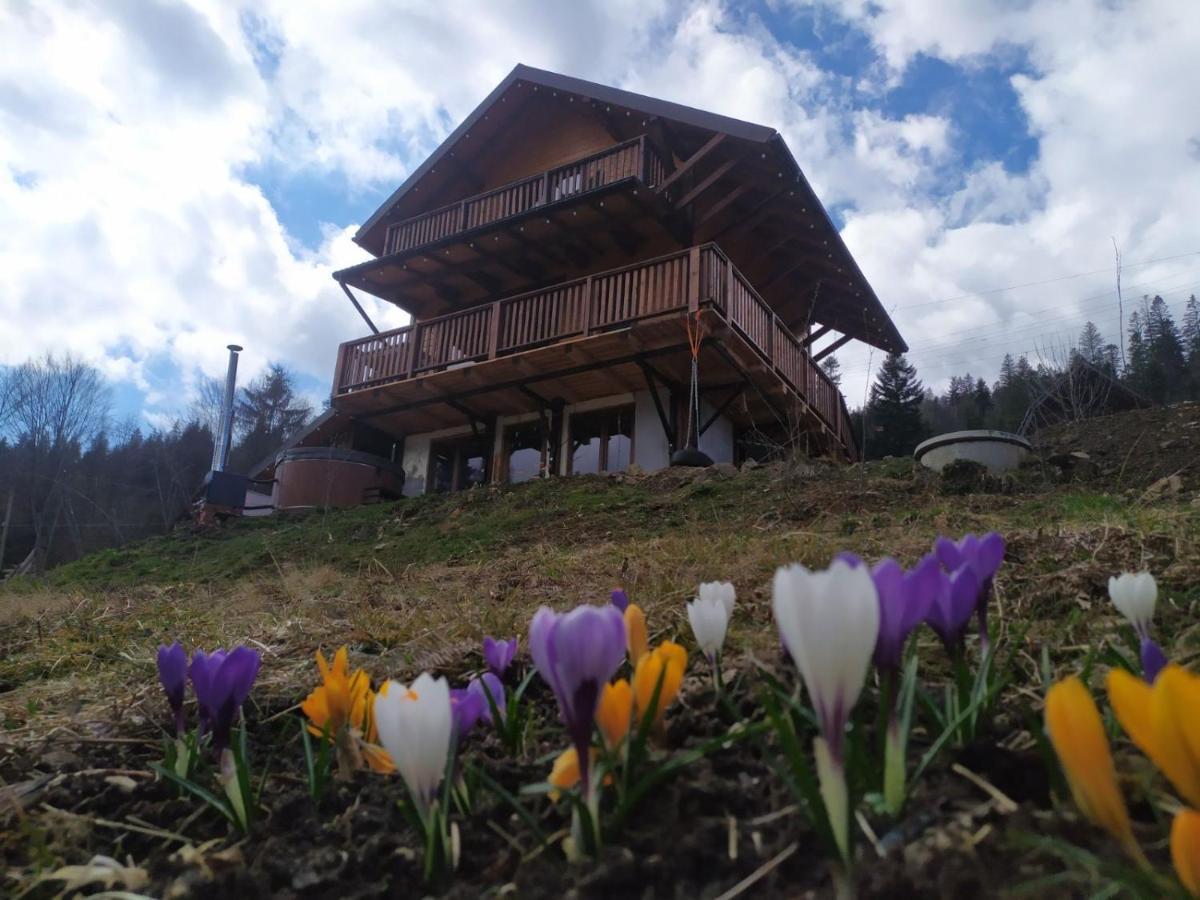 Villa Бриндуш Tatariw Exterior foto