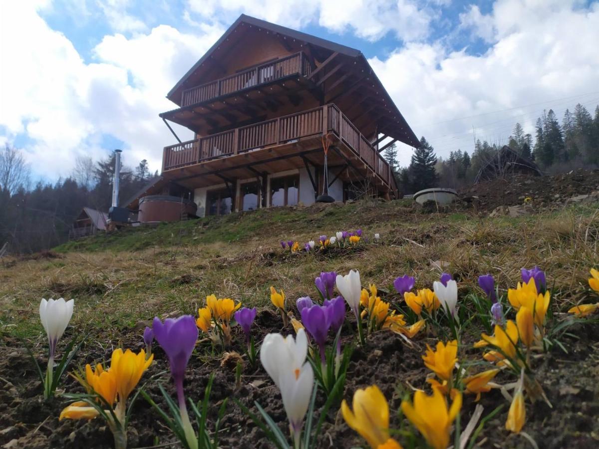 Villa Бриндуш Tatariw Exterior foto